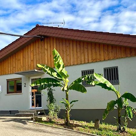 Pension Am Hohberghof Dielheim Exterior foto
